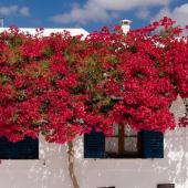 Paros adasi, Kiklad adalari,Yunanistan